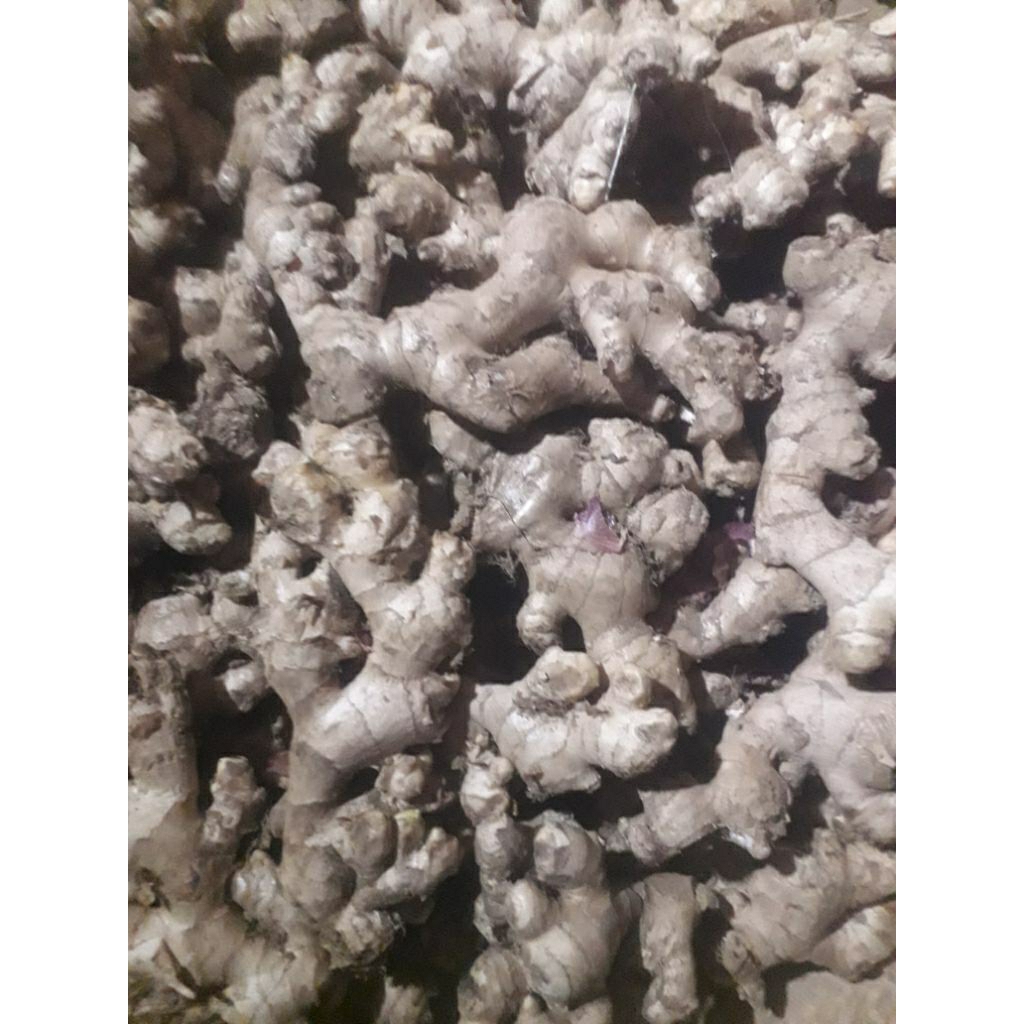 Jahe emprit ato jahe paris 1kg