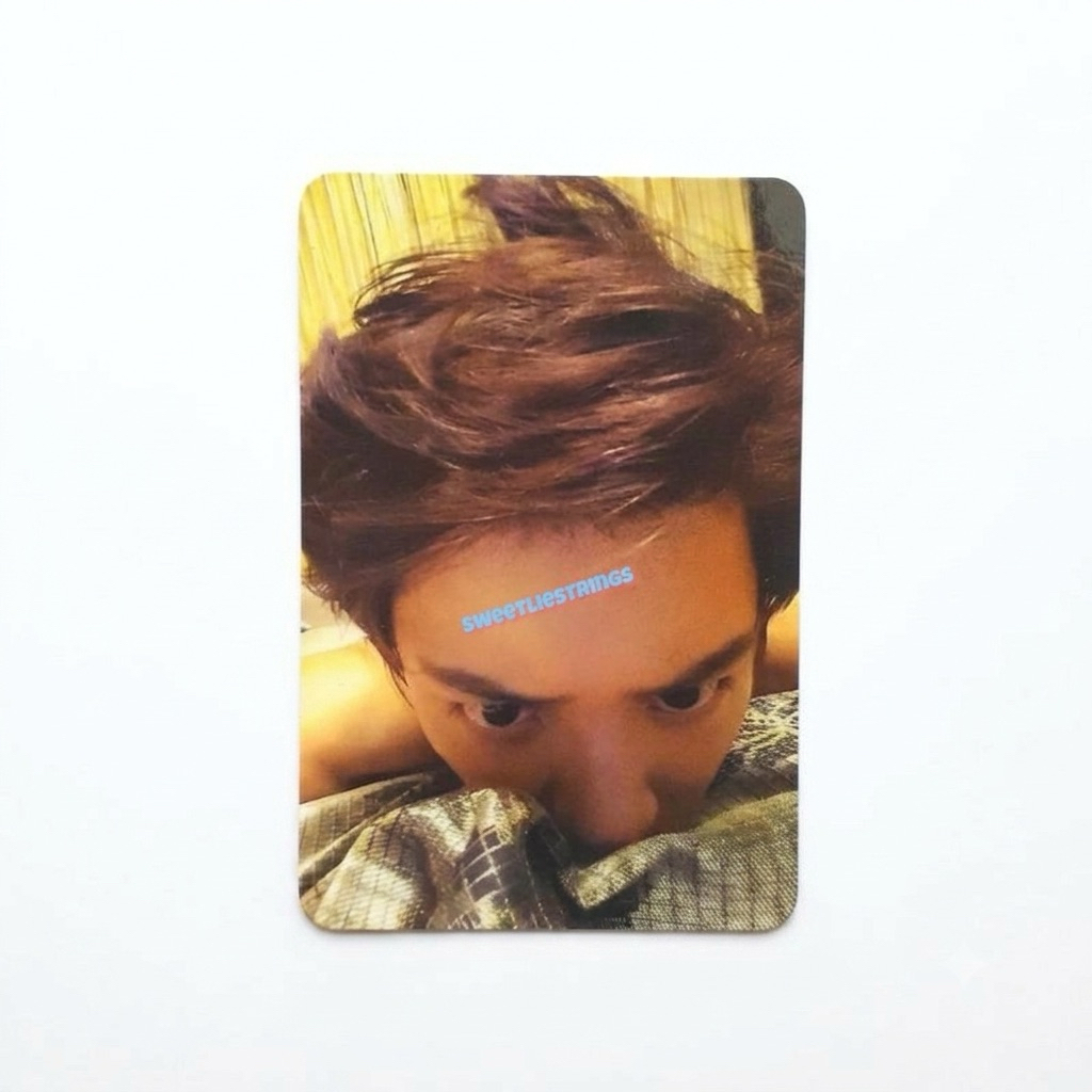 (RARE) OFFICIAL PHOTOCARD CHANYEOL PC ALBUM EXO SING FOR YOU SFY JIDAT