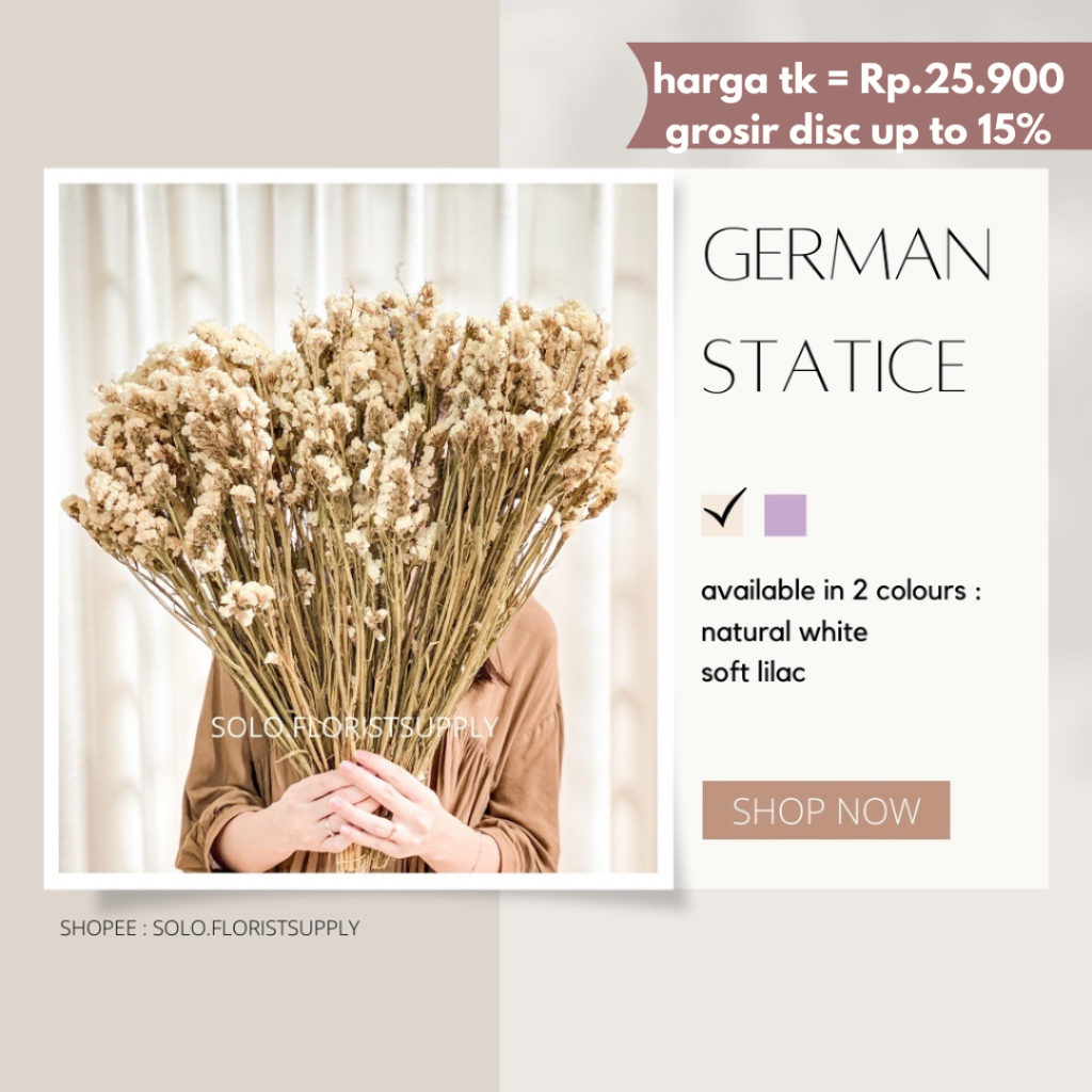 GERMAN STATICE Dried Flowers bunga Kering asli white Cream dekor kantor Hiasan Ruangan Pelaminan RUS