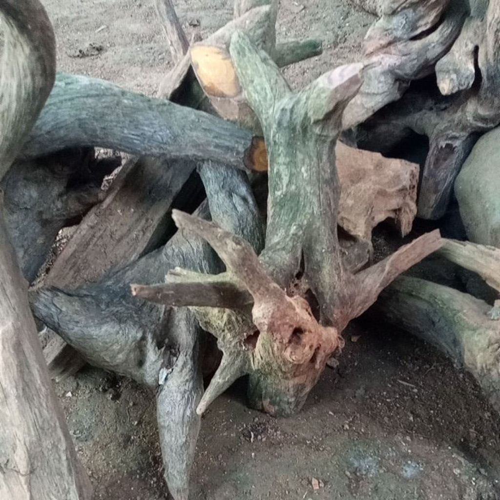 KayuRentek