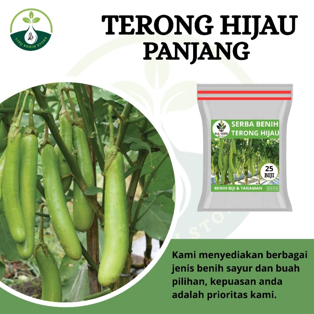 { 25 BIJI } Benih terong hijau panjang / bibit terong hijau / benih sayur terong seribuan