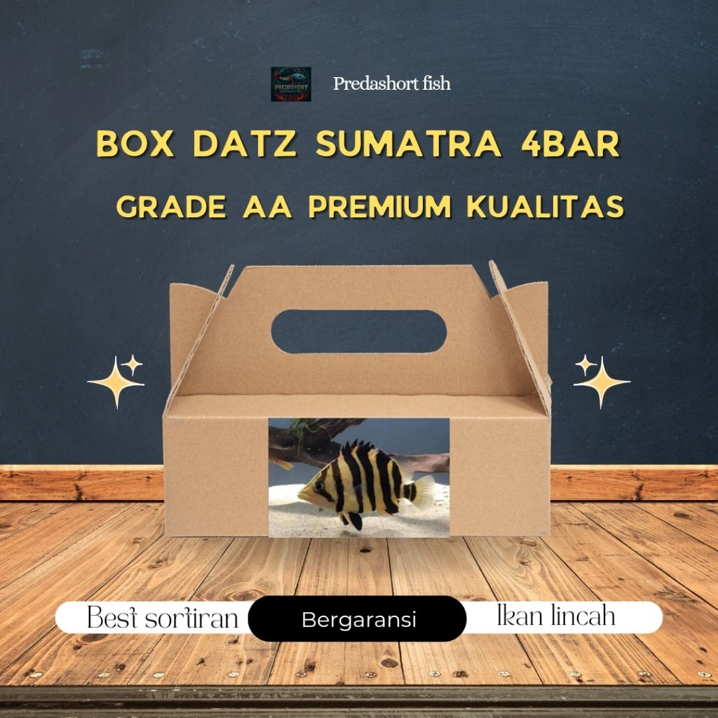 BOX kardus isi Datz sumatra 4 BAR Grade AA Cross Belly Cross Neck bergaransi