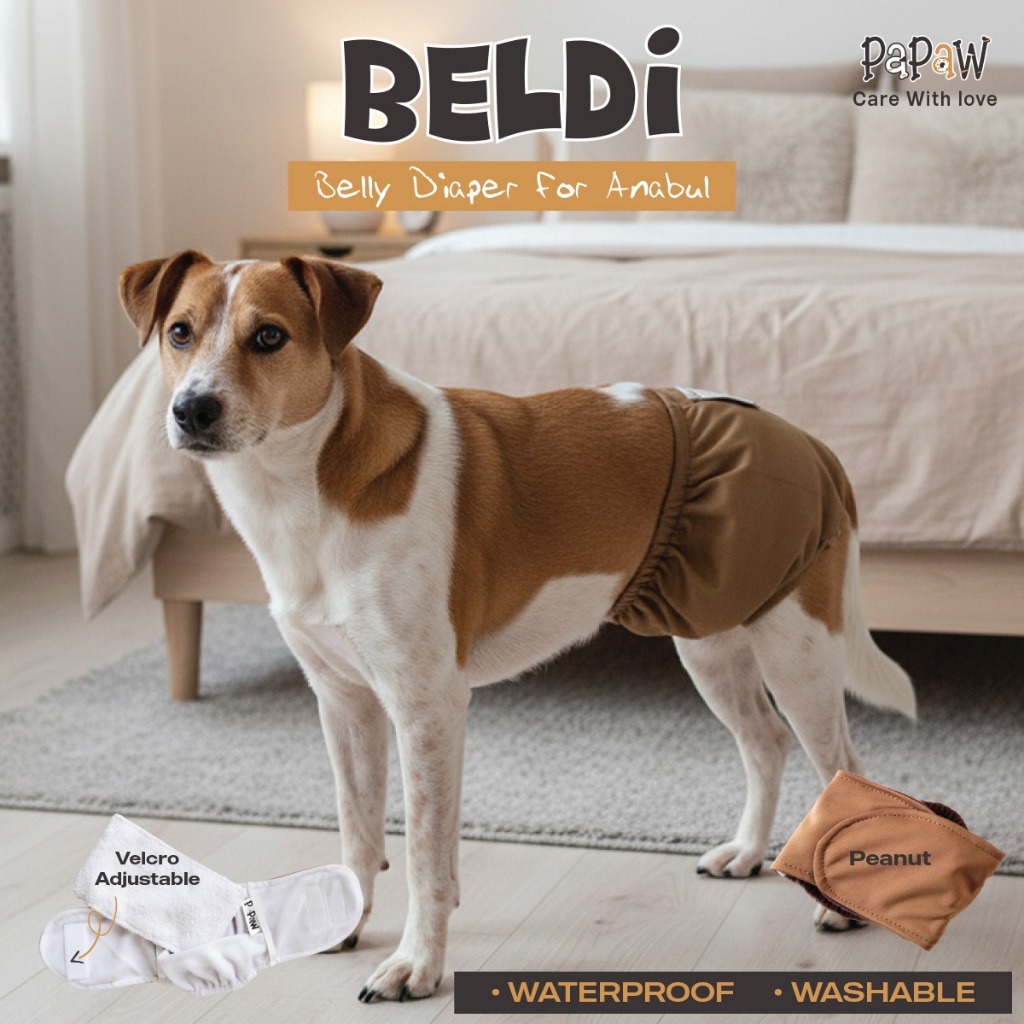 Manner Belt Popok Anjing Jantan Bisa Dicuci Washable dan Waterproof Pempers Diapers Kucing