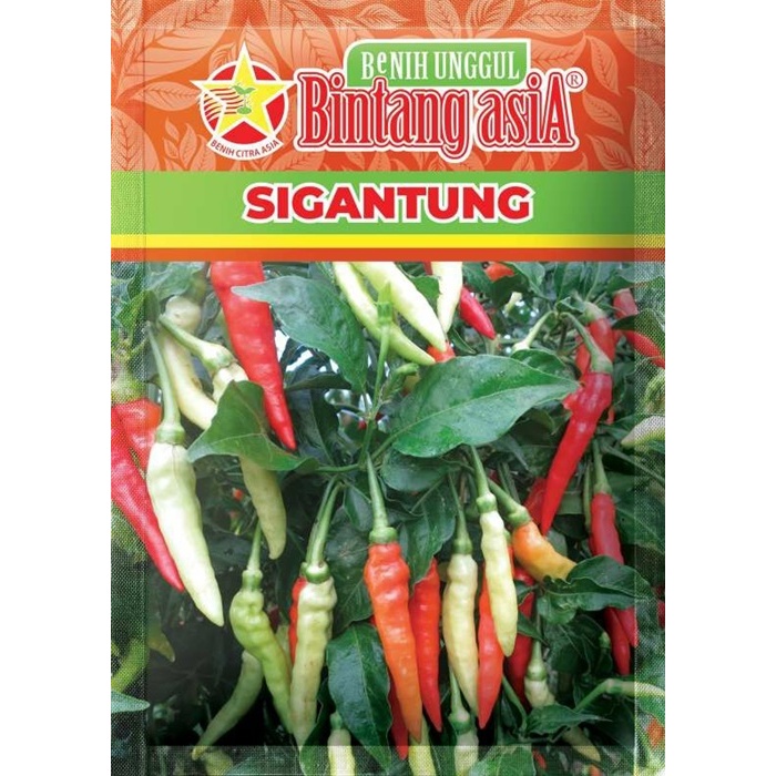 Biji 25 Benih Cabe Rawit SIGANTUNG