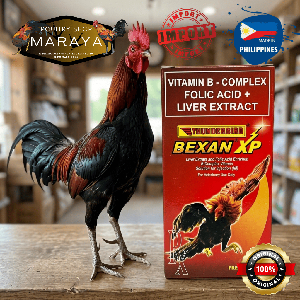 Bexan XP Ayam Aduan/Laga 10 Ml Untuk Stamina Dan Performa