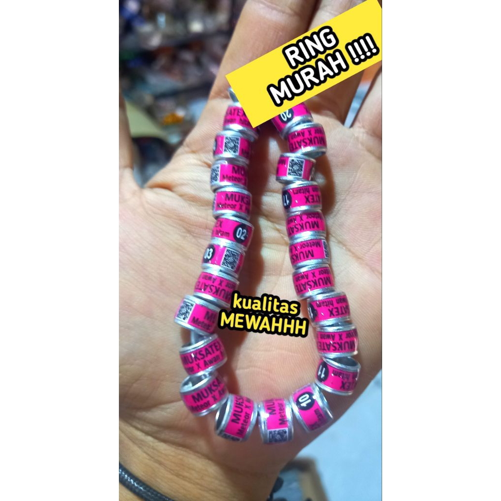 BARU RING BURUNG MERPATI  MURAH KUALITAS MEWAH