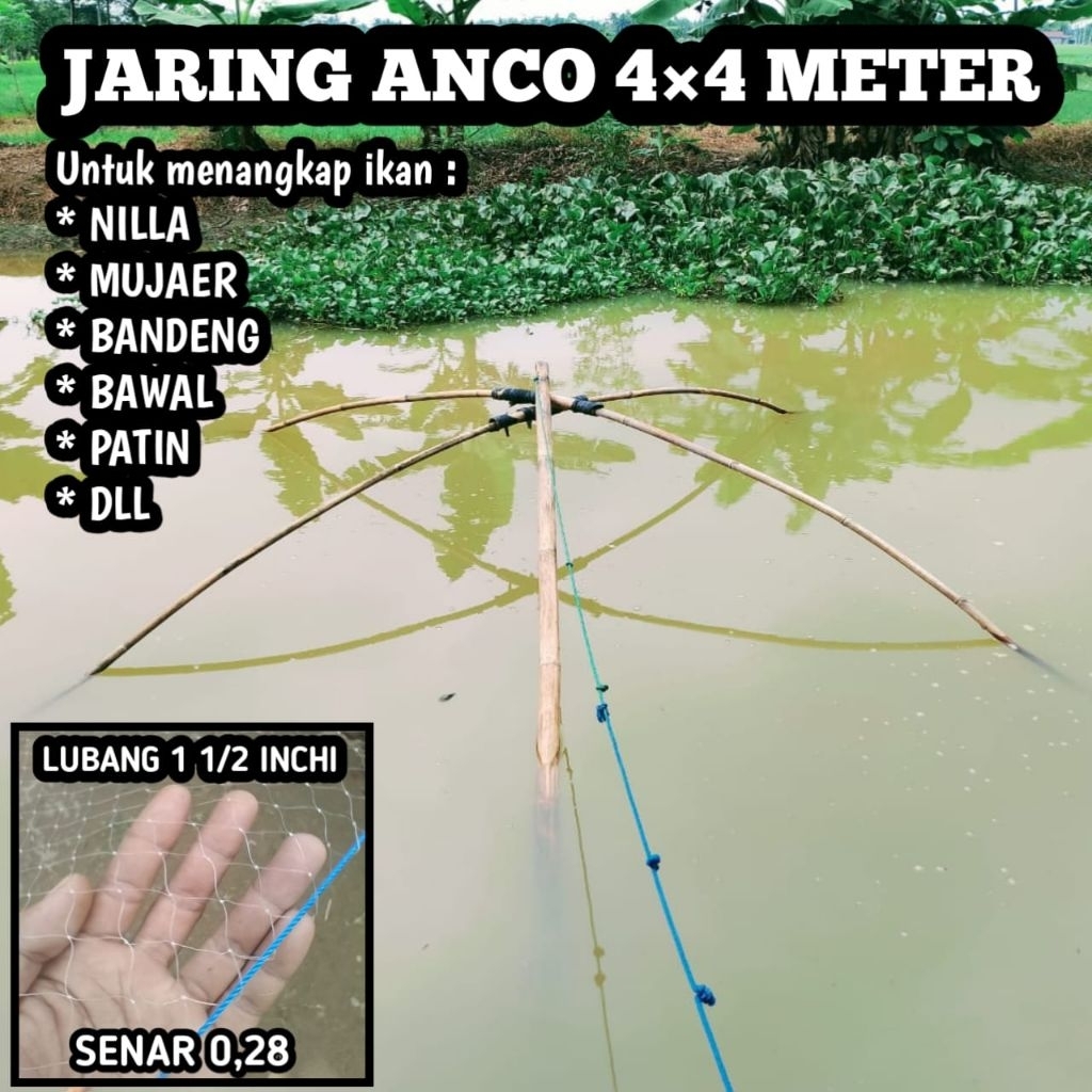 Jaring anco jumbo ukuran 4×4 meter lubang 1 1/2 inchi senar 0,28