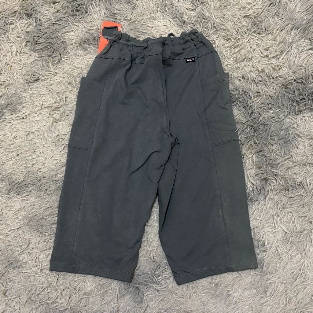patagonia women shorts BNWT