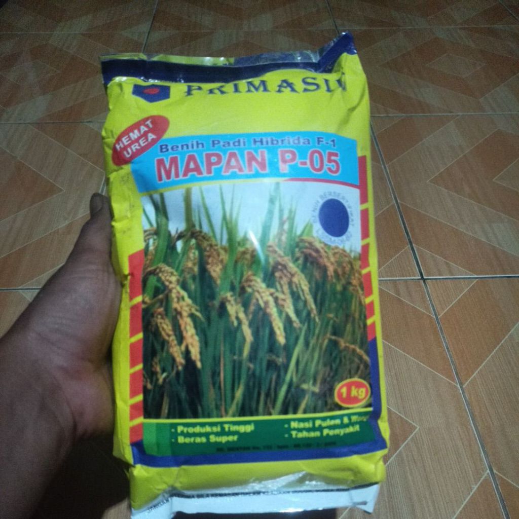 benih padi mapan p-05