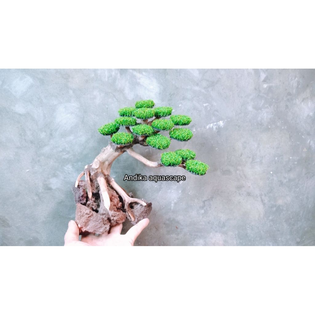 miniatur pohon bonsay sintias 20cm hiasan aquarium