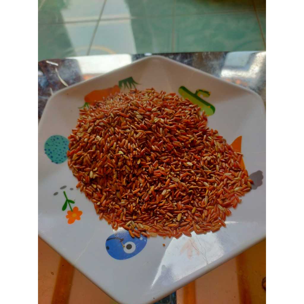 Beras Merah 1 Kg Pakan Ayam & Burung