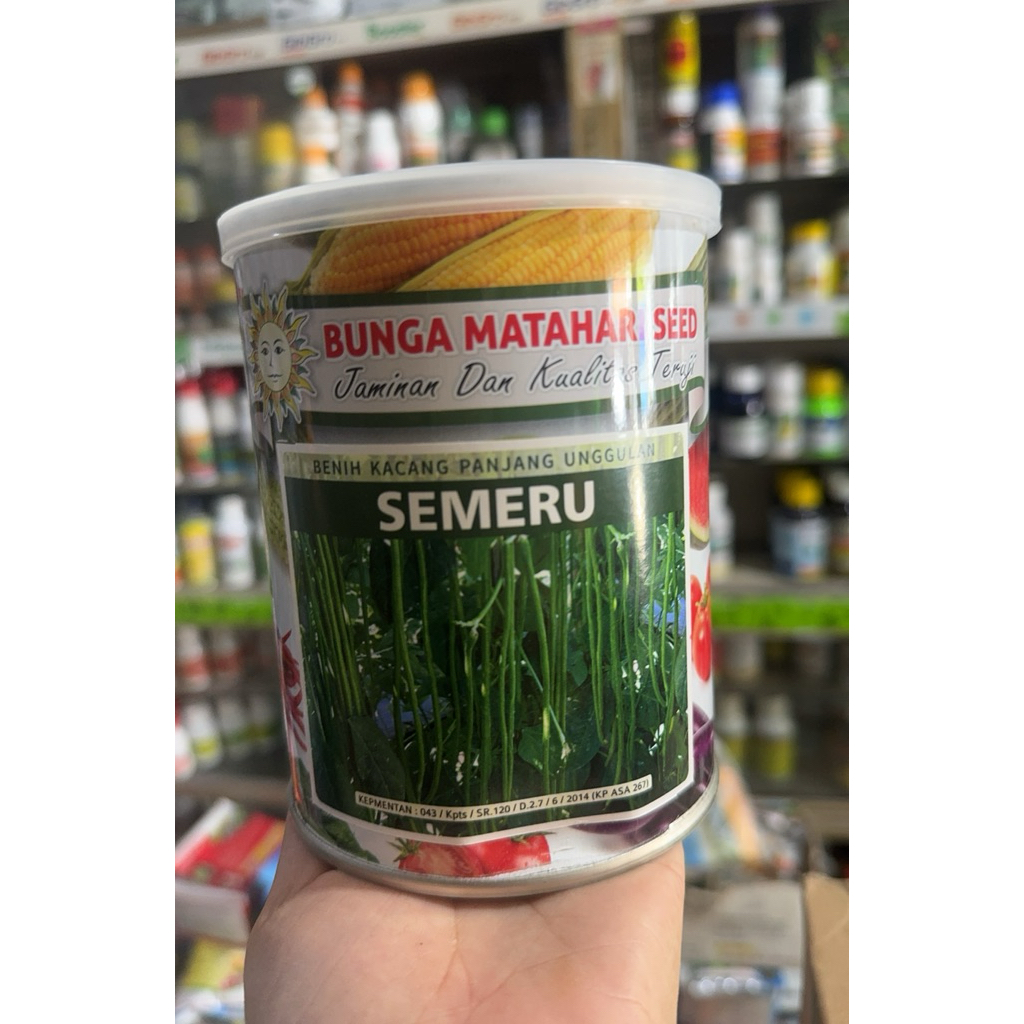 kacang panjang Semeru 500gr