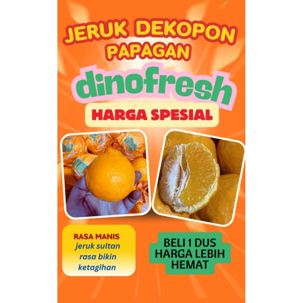 NURI FRUITS!ON PROMOOO 1KG!!!JERUK DEKOPON 1KG!!!jeruk dekopon|jeruk imlek|buah jeruk dekopon|buah s