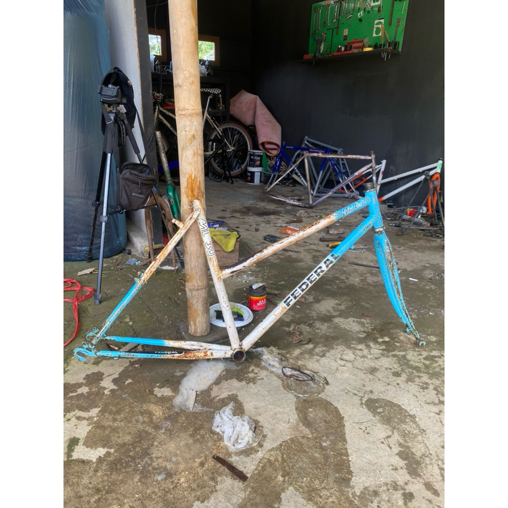 frame original federal wildcat size 19