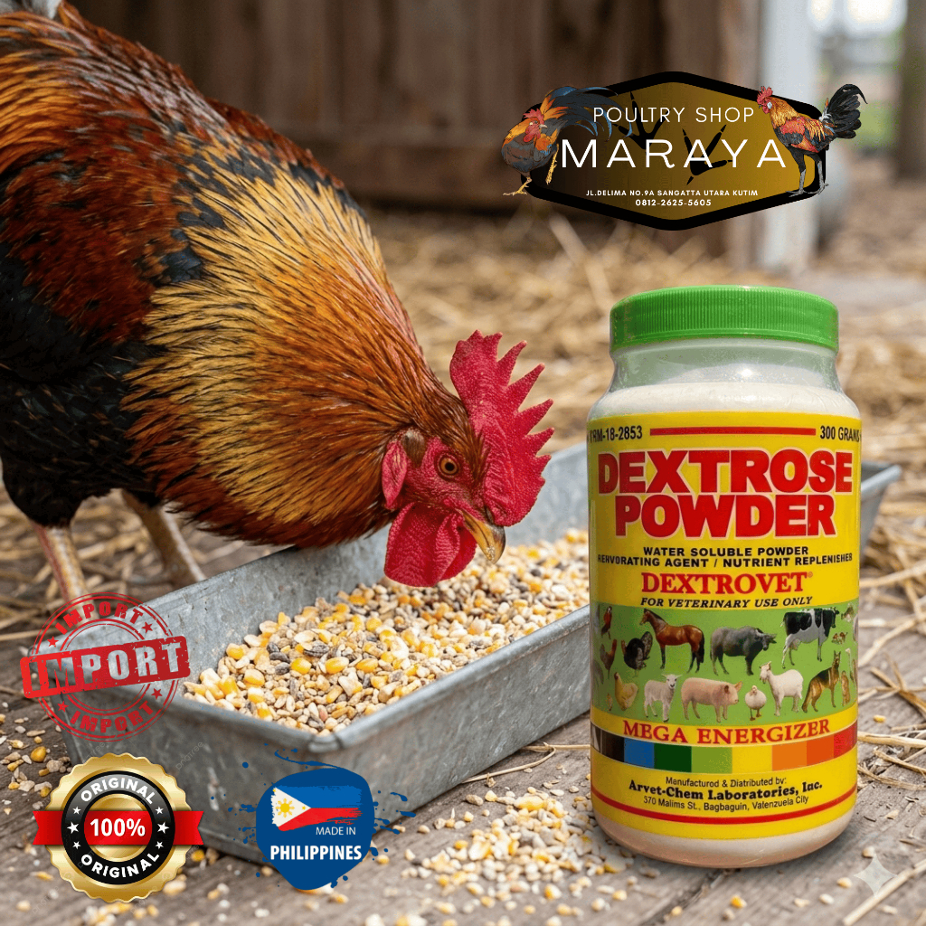 DEXTROSE POWDER 300 GRAM UNTUK AYAM