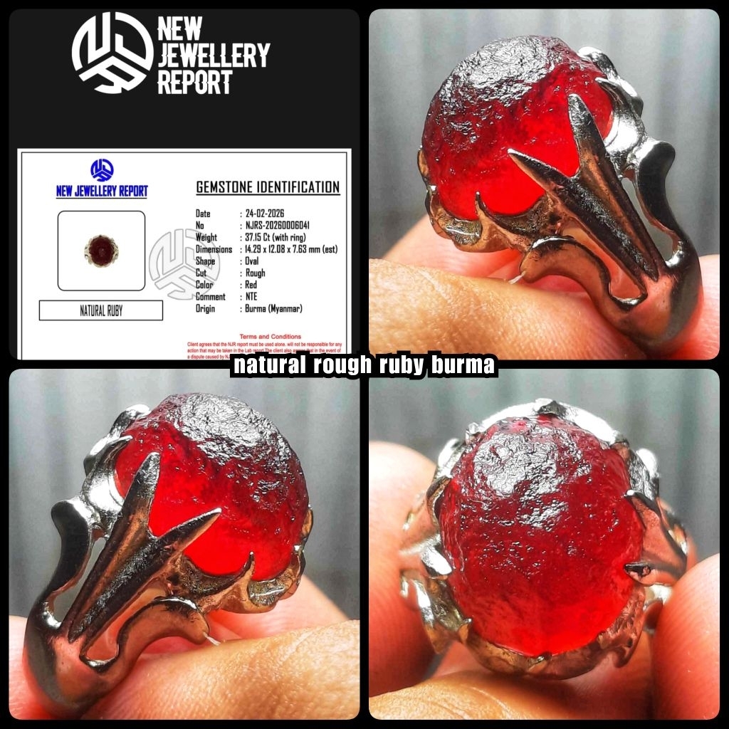 natural permata ruby burma star pigeon blod HQ + sertifikat lab