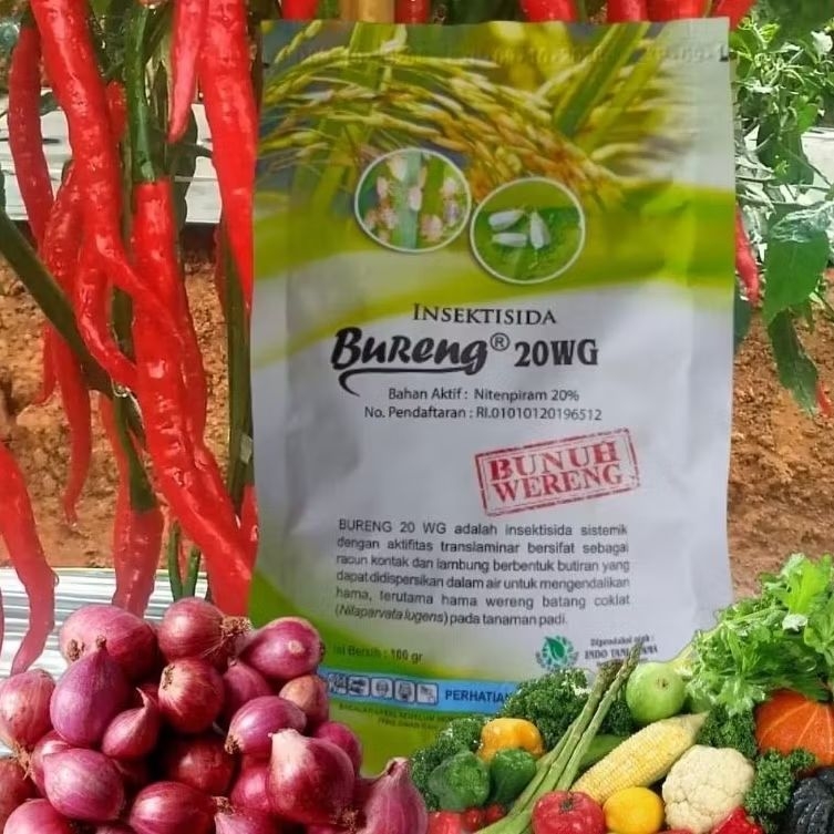 Bureng20wg/Obat mujarab untuk kutu kebul, trips, tungau, klaper, wereng, kepik, lembing dll.