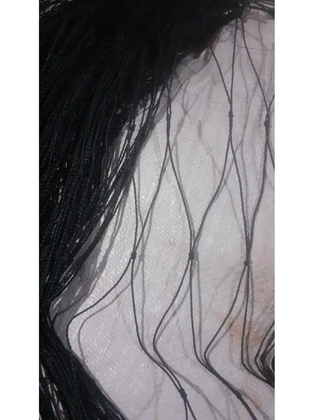 jaring pagar hama babi hutan liar 2 x 100m jaring pagar di ladang