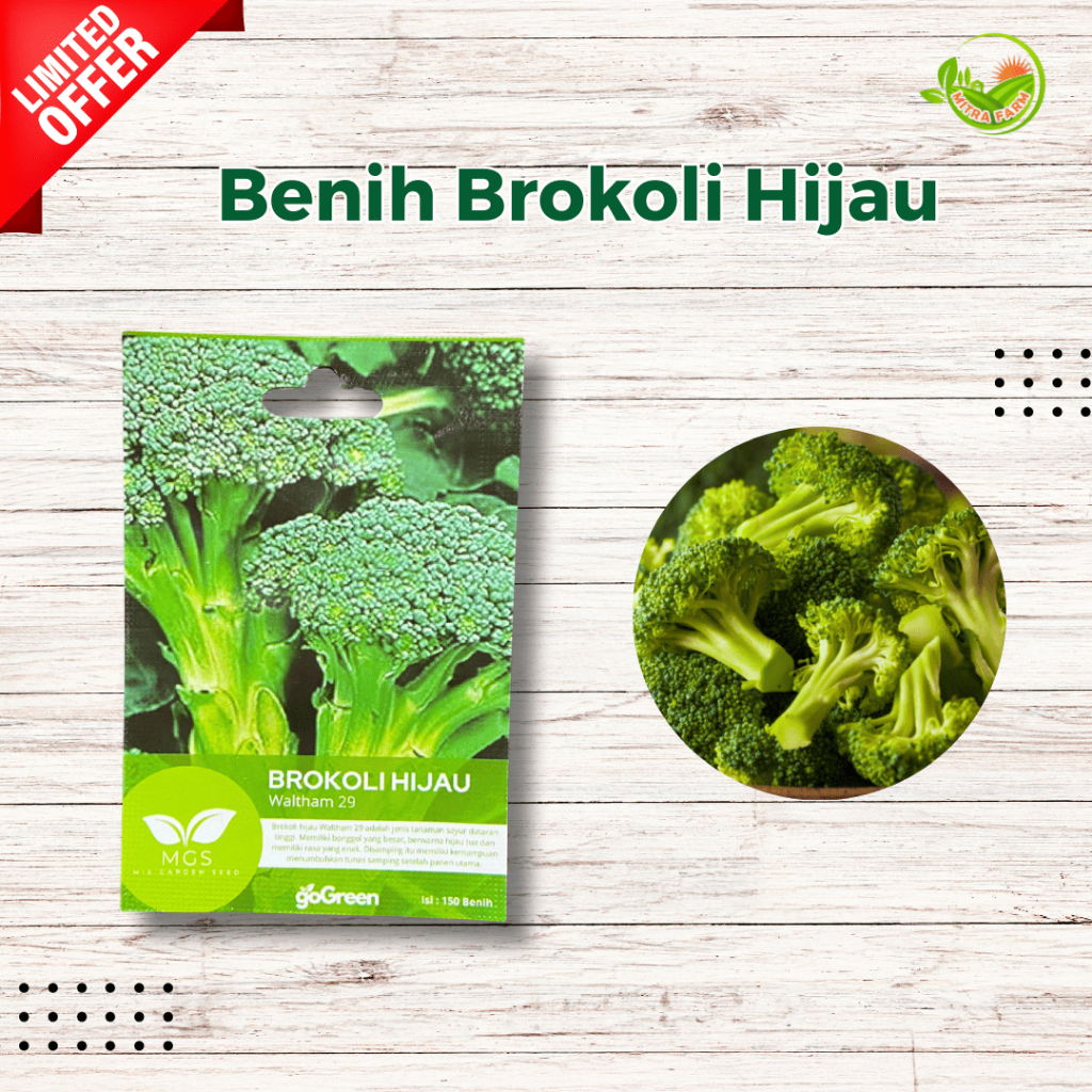 Benih Brokoli Hijau isi 150 Biji-Benih Brokoli Isi Banyak-Benih Brokoli Hijau Merek MGS