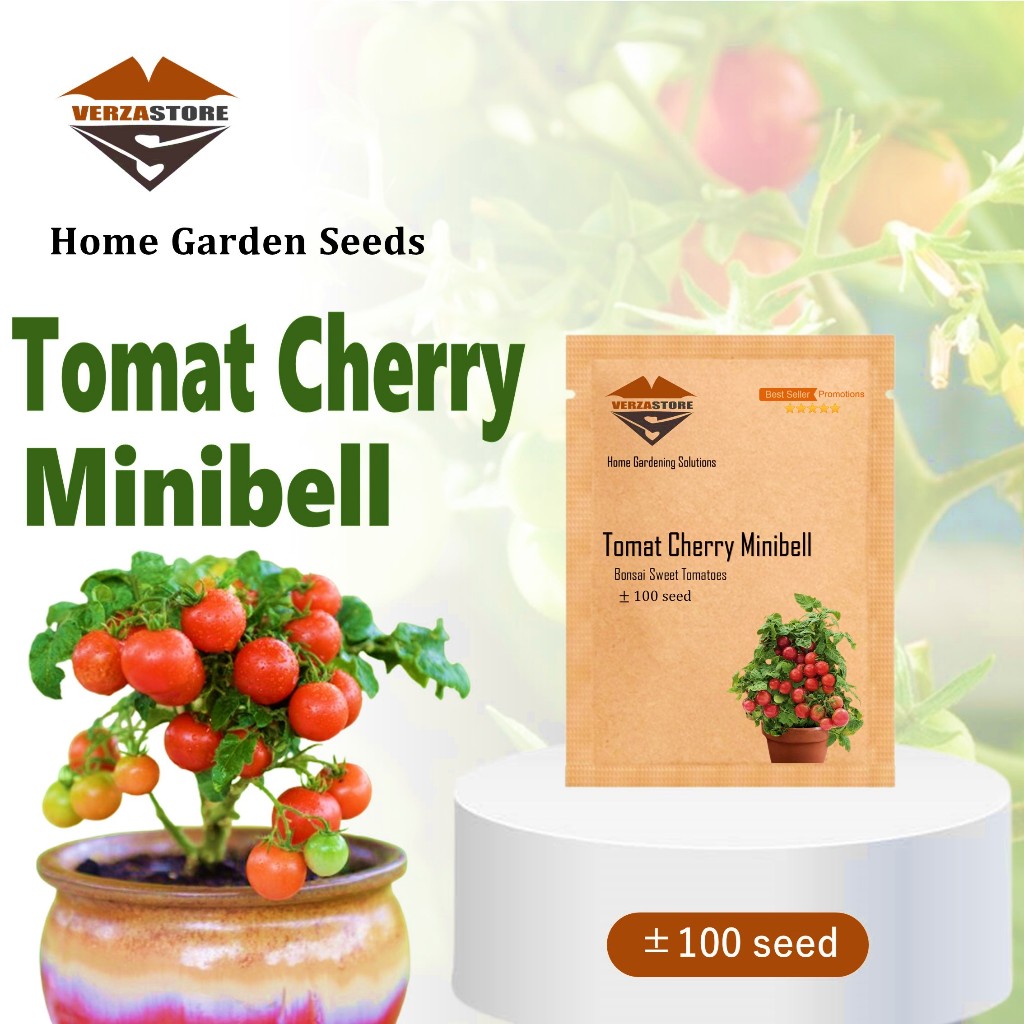 ±100 Biji - Benih Buah Tomat Cherry Minibell Tomat Cherry Bonsai Sweet Tomatoes