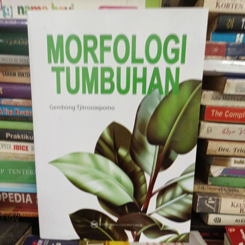 MORFOLOGI TUMBUHAN