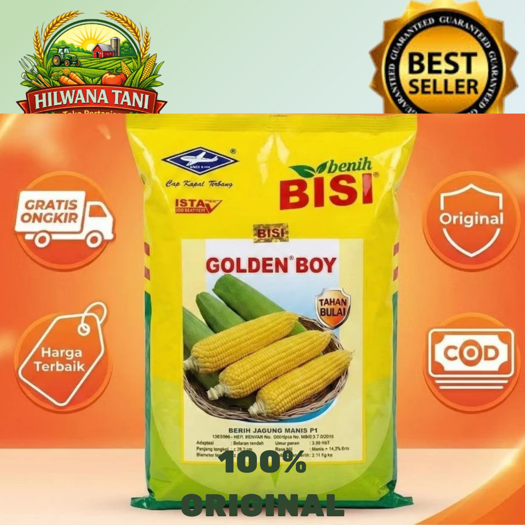 GOLDEN BOY BENIH JAGUNG MANIS 500GR