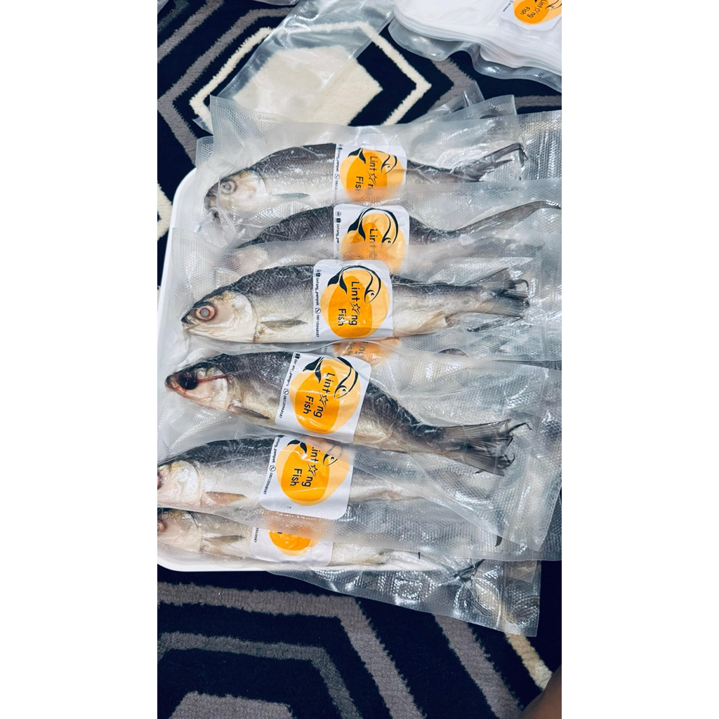Lintang  fish / Ikan Bandeng Cabut Duri / Ikan / Ikan Bandeng / Bandeng