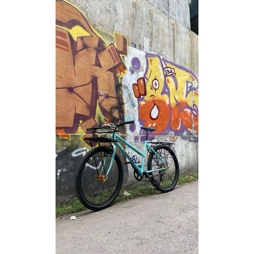 sepeda federal lady