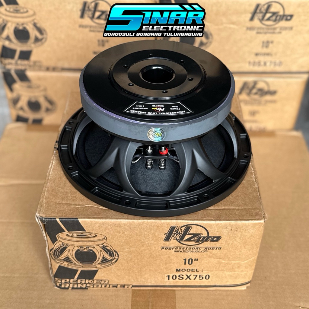 Speaker HZpro 10in 10SX750 HZ Pro Original