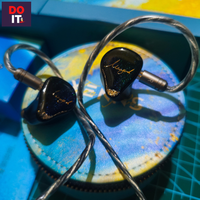 Xenns Mangrid Tea Pro 2DD 6BA IEM EARPHONES HEADSET