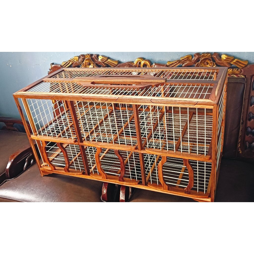 dondang merpati untuk 3pasang rangka dari kayu jati pilihan jari-jari full fiber.