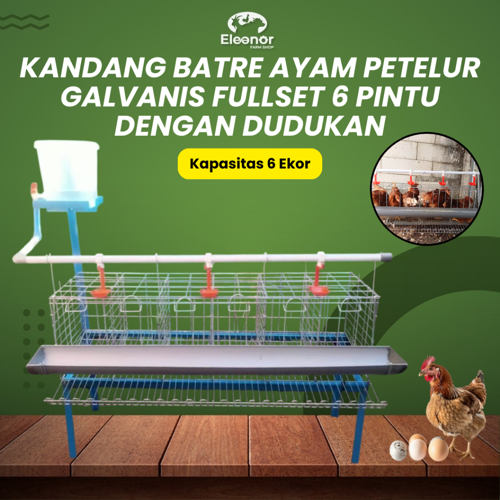 Kandang Ayam Petelur Bangkok 6 Pintu Lengkap Rangka Dudukan Semua Aman