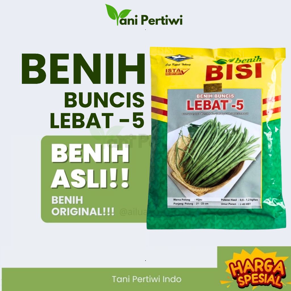 Benih Buncis Lebat -5 Benih Bisi 500gr Cap Kapal Terbang