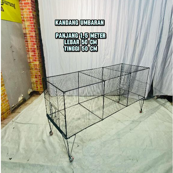 Kandang umbaran polier tenggaran burung juara lomba murai serbaguna ukuran 1, 5 meter lebar 50 cm ti