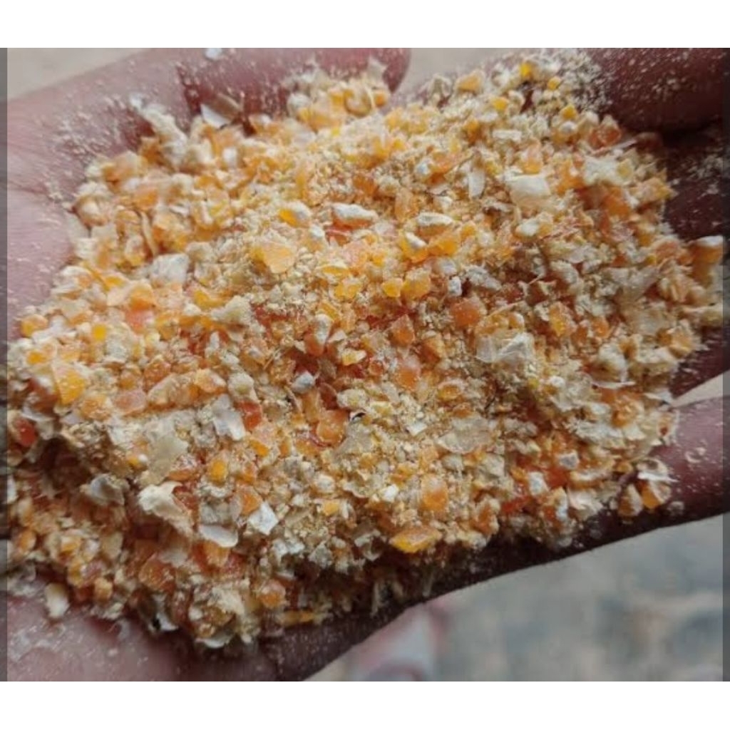 JAGUNG GILING  PAKAN TERNAK