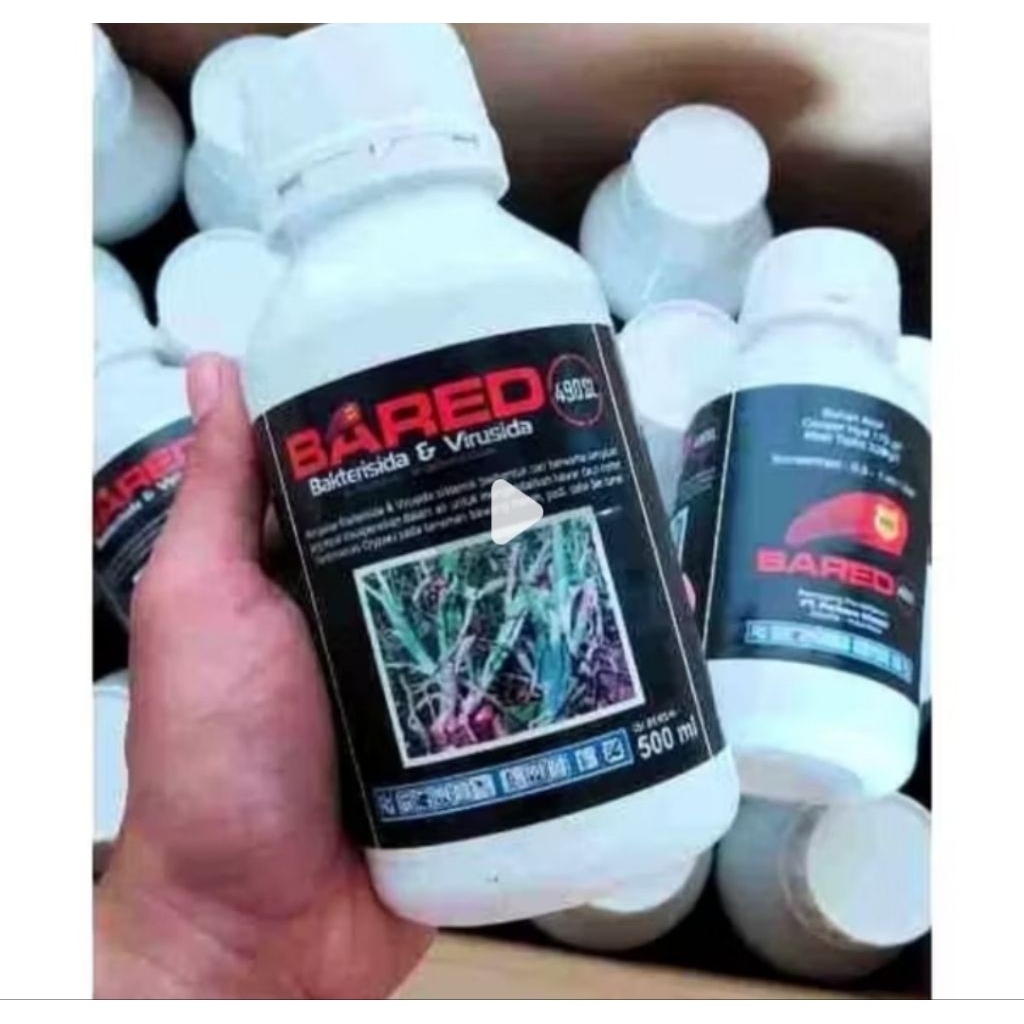 bared bakterisida dan virusida 500 ml