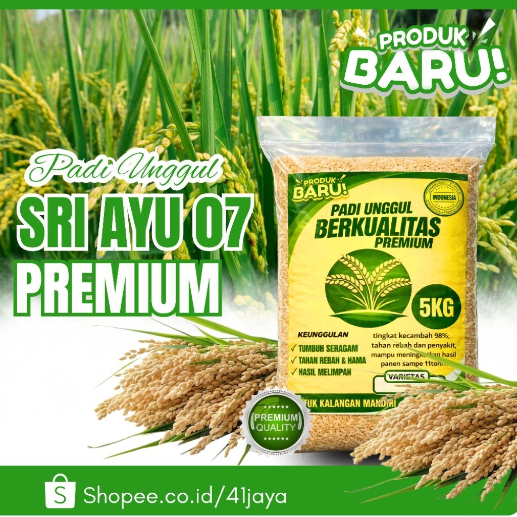 BENIH PADI UNGGUL SRI AYU 07 ORIGINAL 5KG PREMIUM QUALITY