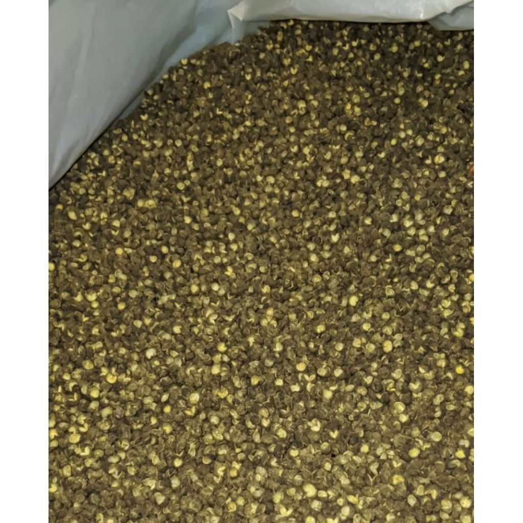 Lada Sichuan Hijau/Premium Green Sichuan Peppercorns/lada hijau kering 500 gram