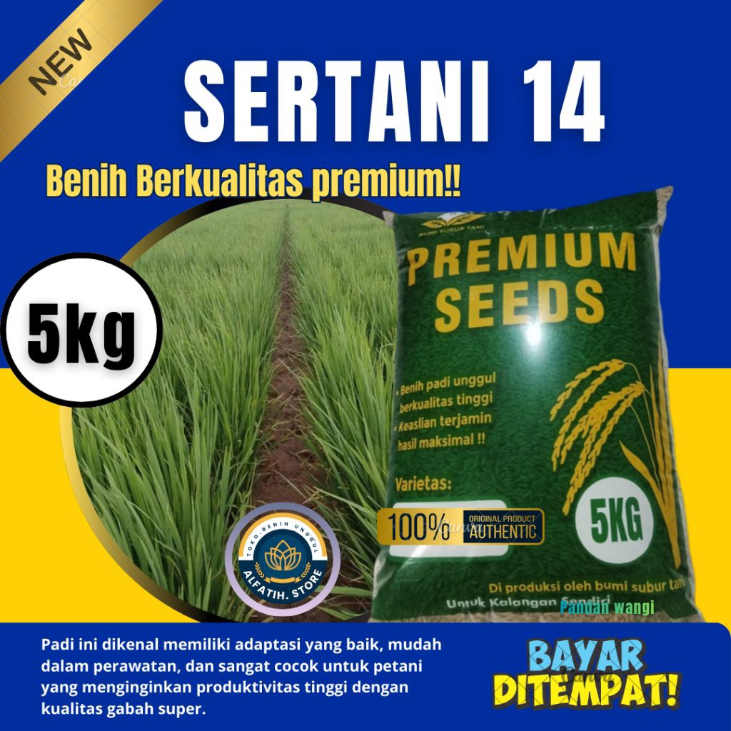 benih padi unggul berkualitas premium SERTANI 14