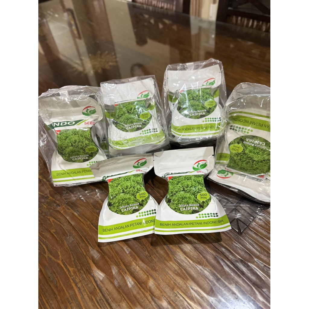 Caipira “Lettuce Batavia”