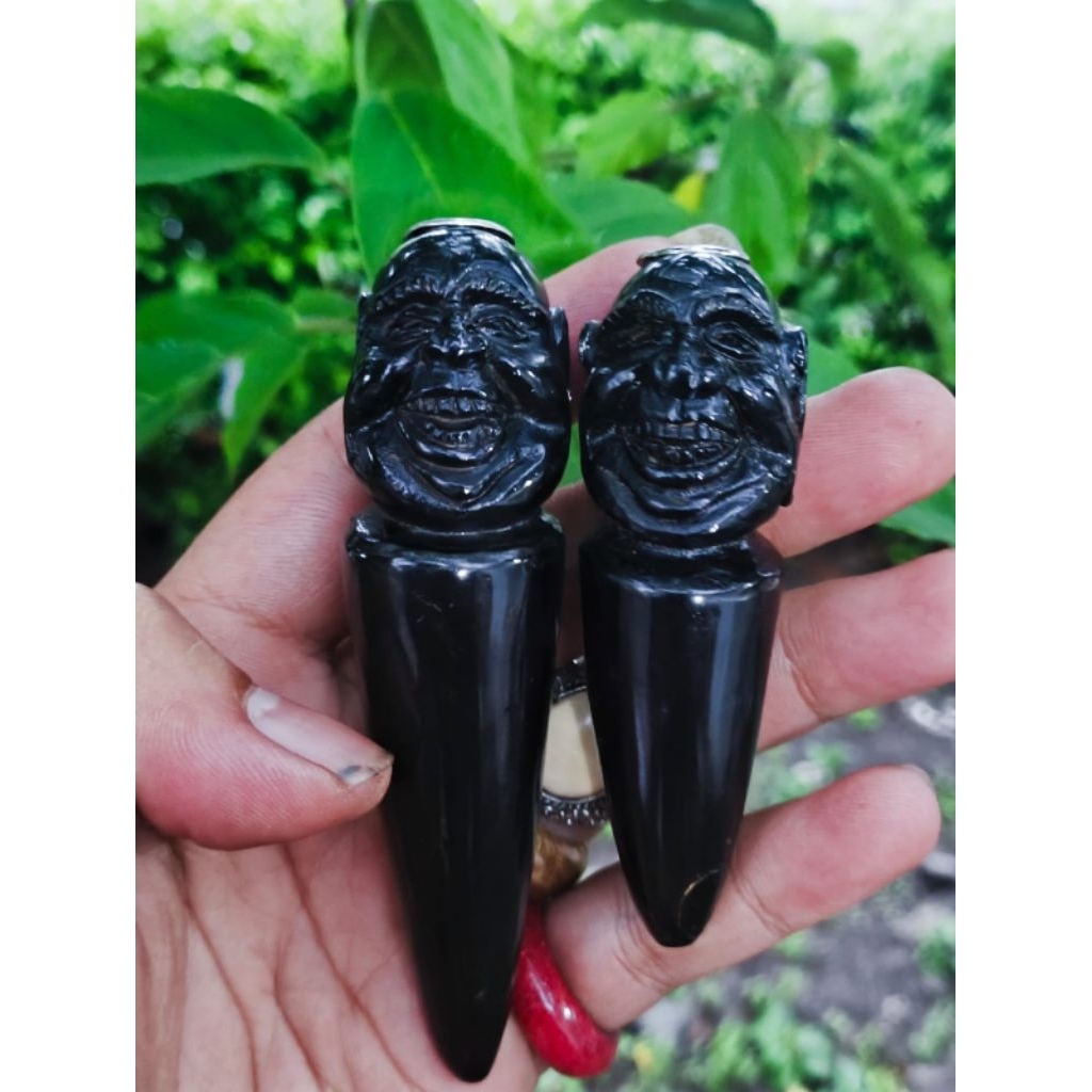 PIPA ONCE FOSIL AKAR BAHAR UKIR SEMAR