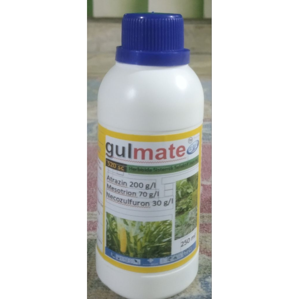 Gulmate Herbisida sistemik selektif jagung