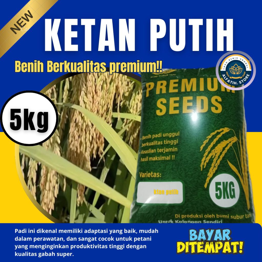 benih padi ketan putih original premium berkualitas unggulan kemasan 5kg