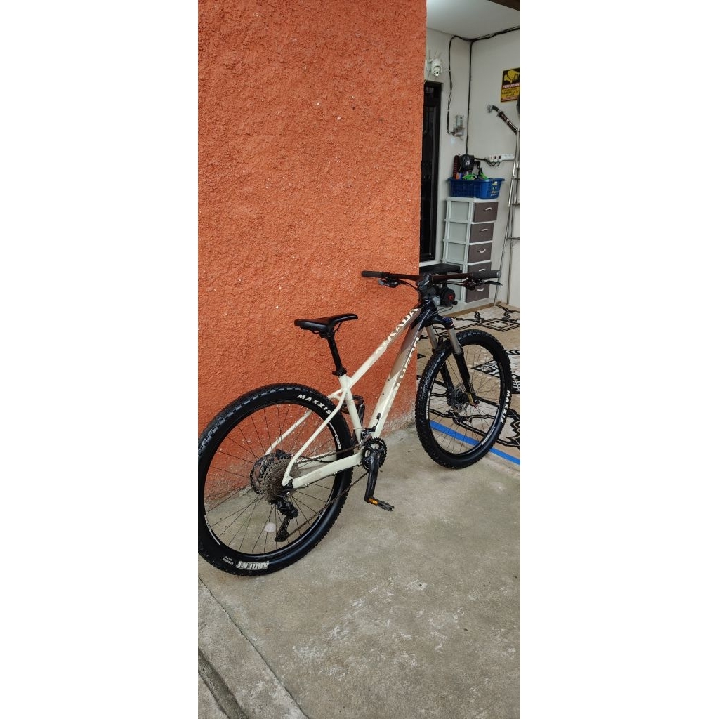 Polygon Xtrada 6 2021