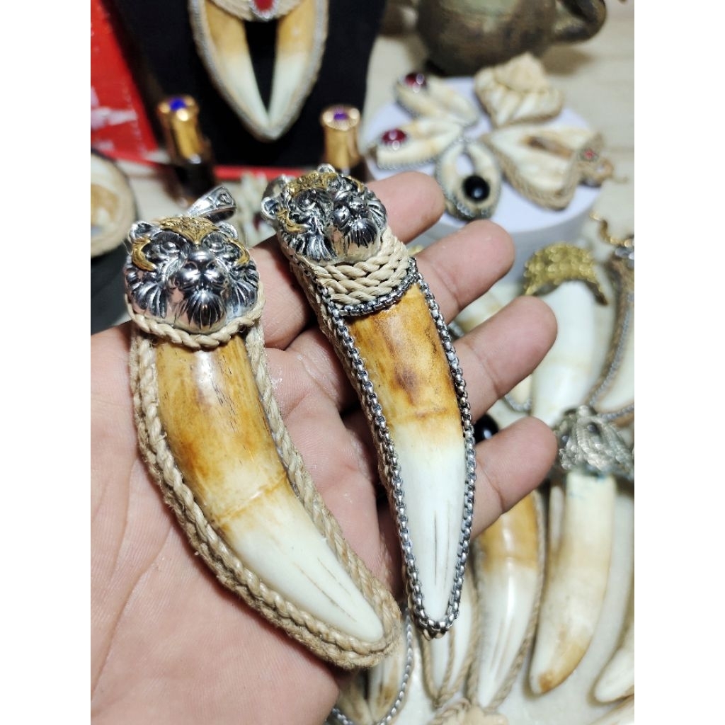 Kalung Liontin Taring Harimau Sepasang