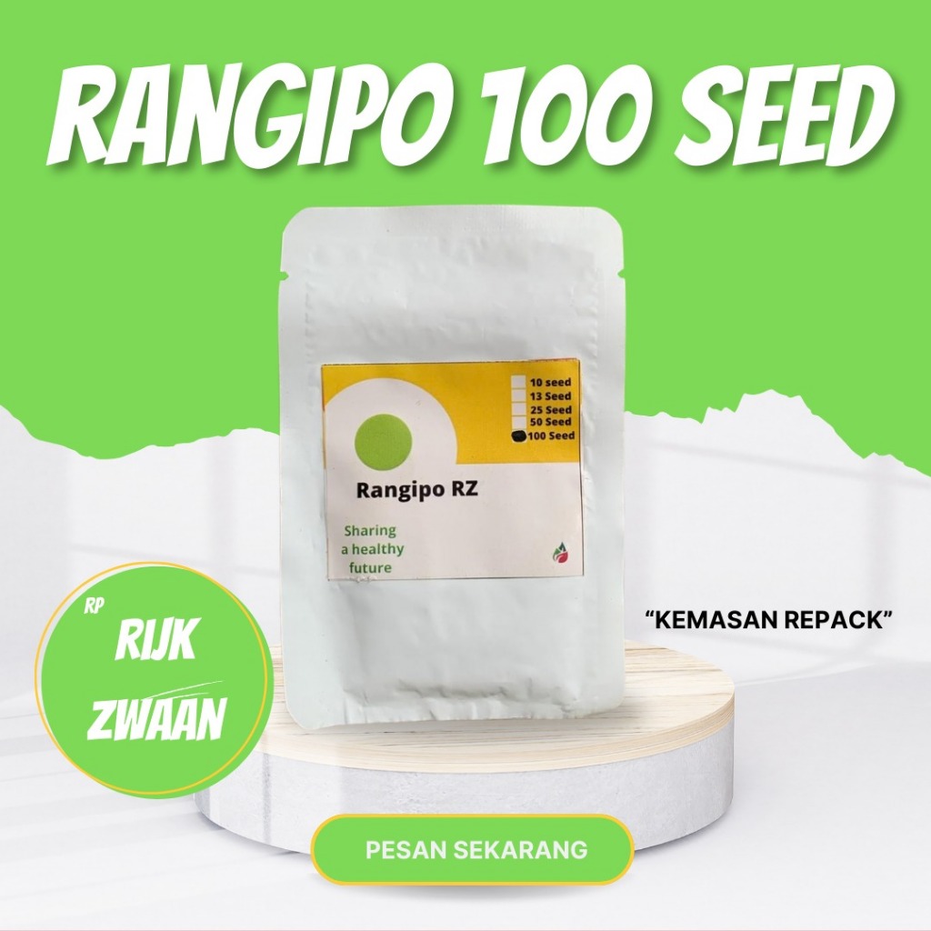RANGIPO RZ 100 SEED Benih Melon Rijk Zwaan