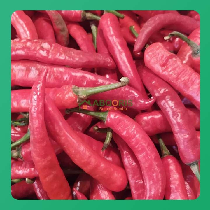 Cabe Merah Besar Tanjung 250g Segar Untuk Masakan Dapur Organik Bebas Pestisida