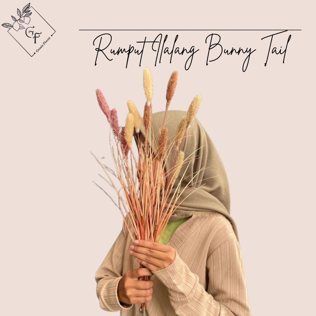 TERLENGKAP RUMPUT ILALANG BUNNY TAIL ARTIFICIAL rumput ilalang hiasan dekorasi MAHAR BUNGA PALSU