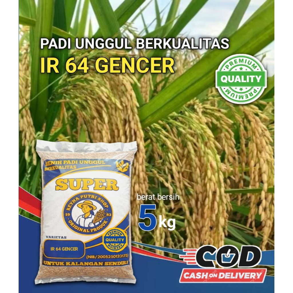 Benih padi ir 64 gencer berkualitas 5kg
