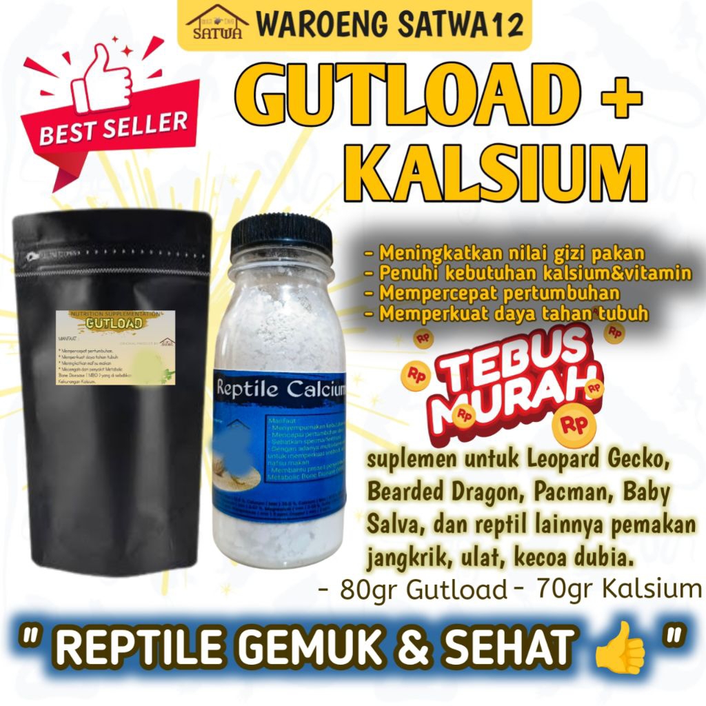 [TEBUS MURAH] Paket gutload dan kalsium reptil vitamin leopard gecko baby salva pacman bearded drago